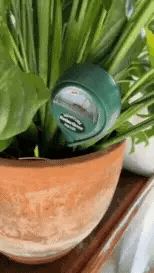 3-i-1 jord pH fuktighetsmåler plantevann lys tester