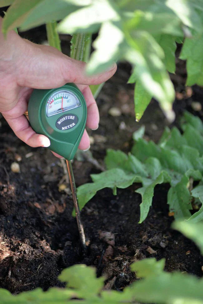 3-i-1 jord pH fuktighetsmåler plantevann lys tester