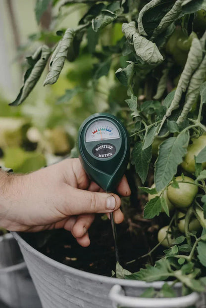 3-i-1 jord pH fuktighetsmåler plantevann lys tester