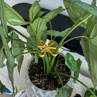 Plantestammestøtte (4 stk.)