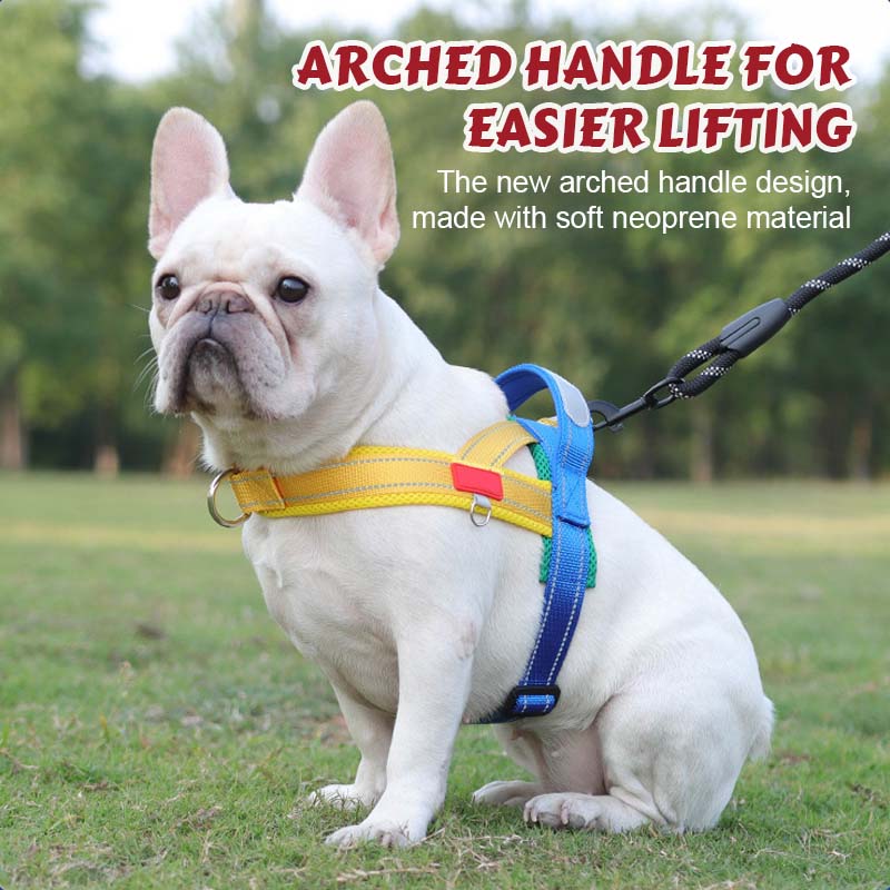 Hundegeschirr + kostenloses Band 1,5 m x 1,0 m