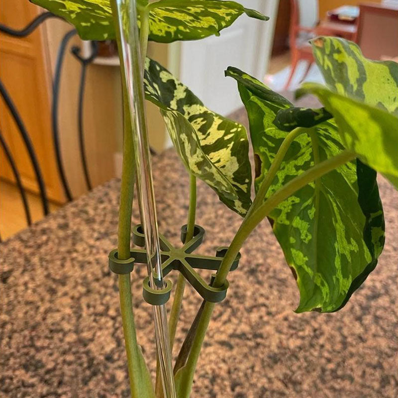 Plantestammestøtte (4 stk.)