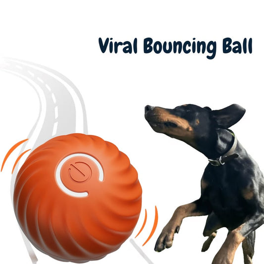 💥Interactive Dog Toys Dog Ball
