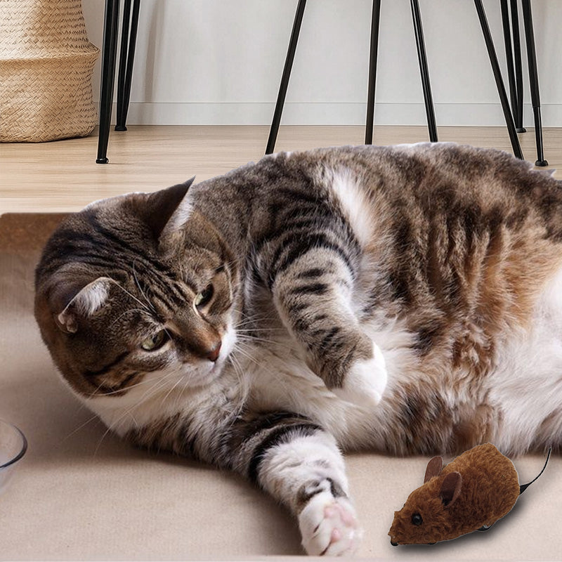 🐭Museleker for katter og hunder nr.🐁.