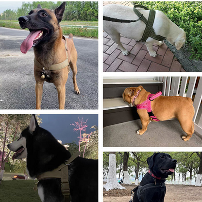 🥳🐕💪Robust taktisk hundesele – trækker ikke, kvæler ikke🛡️✨