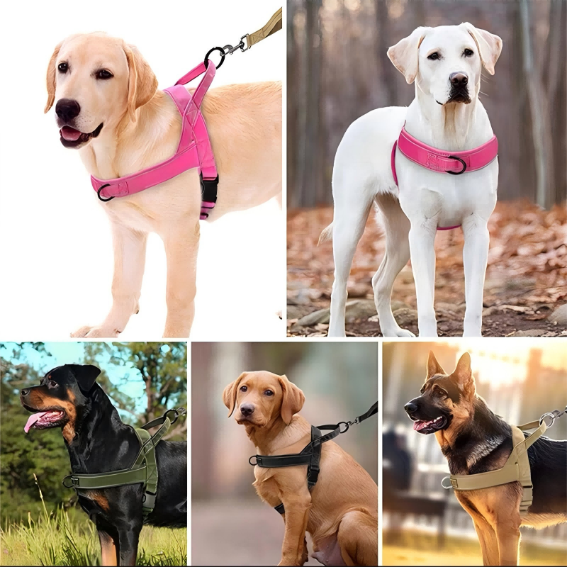 🥳🐕💪Robust taktisk hundesele – trækker ikke, kvæler ikke🛡️✨